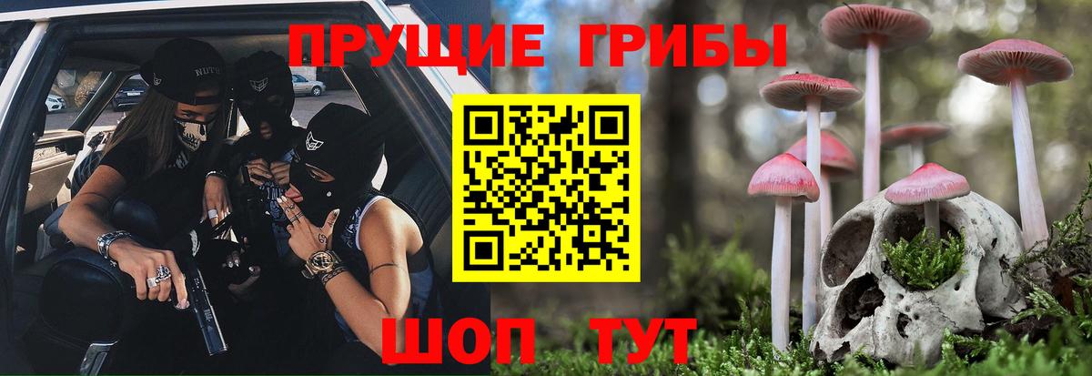 Галлюциногенные грибы MAGIC MUSHROOMS  Вход с VPN  Уварово 